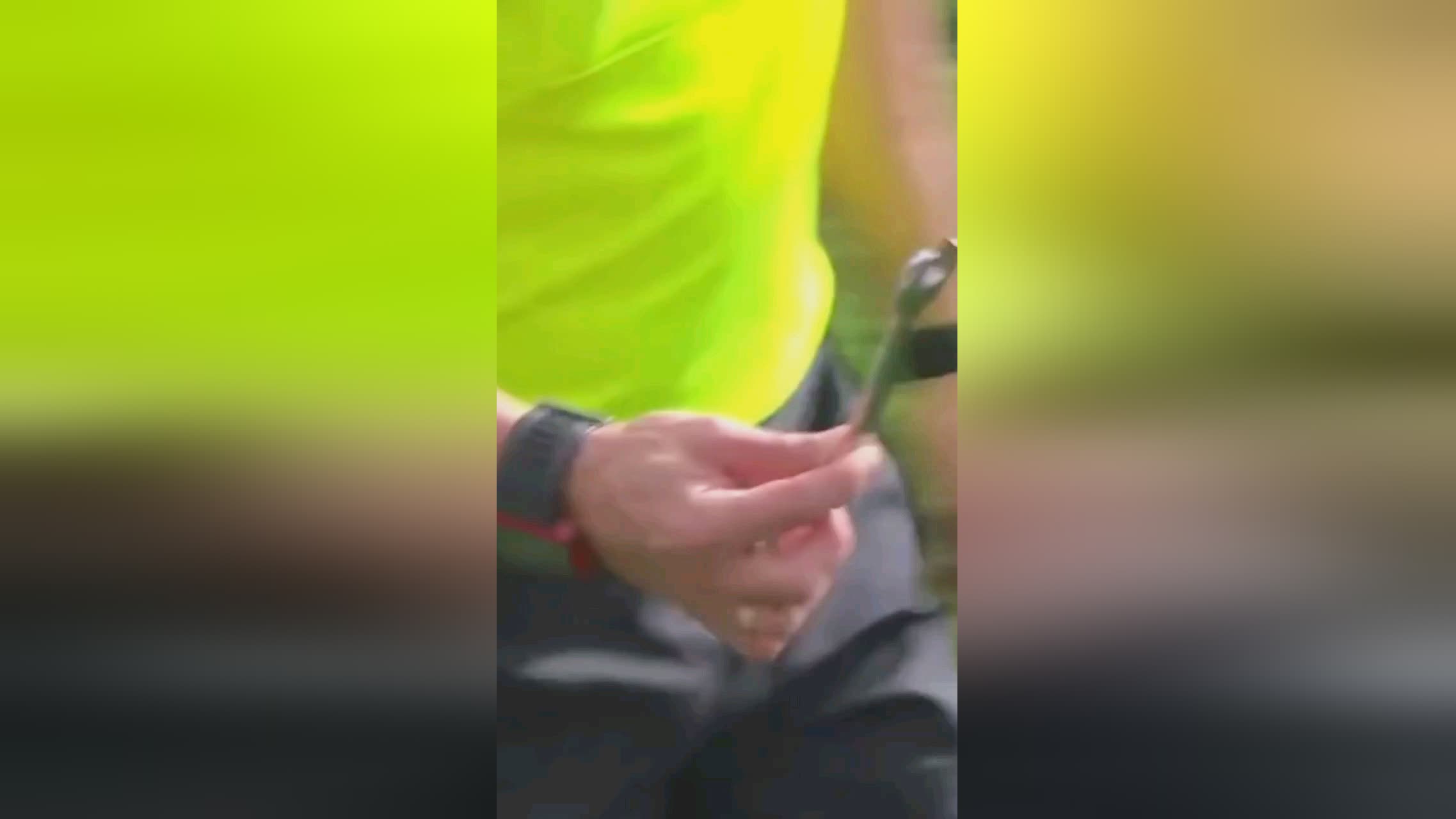 毅力的比
